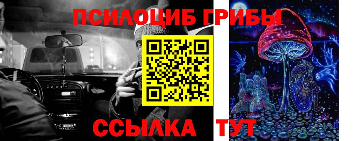 Котельники  Псилоцибиновые грибы мухоморы  Псилоцибиновые грибы прущие грибы  Вход с VPN 