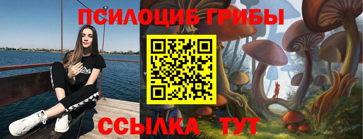 Псилоцибиновые грибы MAGIC MUSHROOMS Котельники