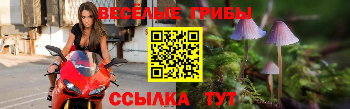 Кокаин  НБОМе  Мефедрон кристаллы  КОКАИН  Мефедрон  Котельники  МАРИХУАНА  ГАШ  Вход с VPN 